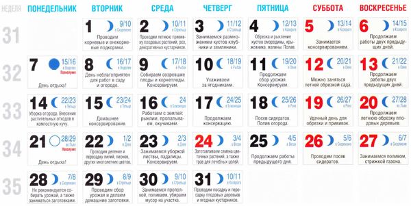 Динамо м календарь игр