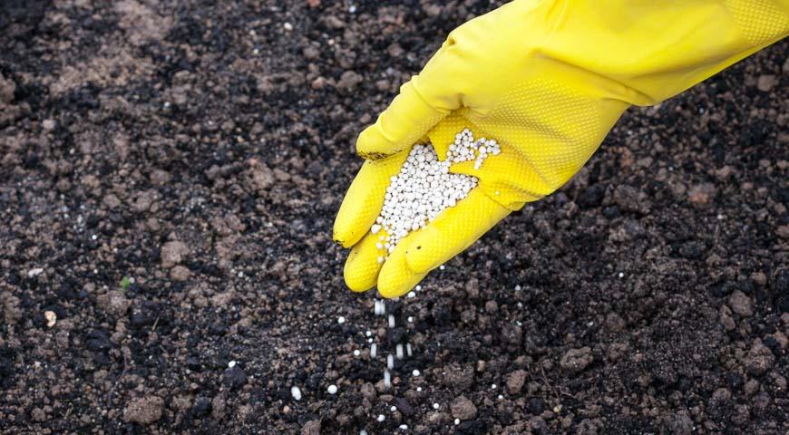 Удобрение почвы фосфатным удобрением