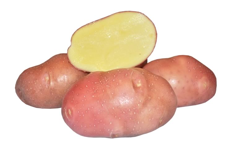 Беллароза - разновидность картошки