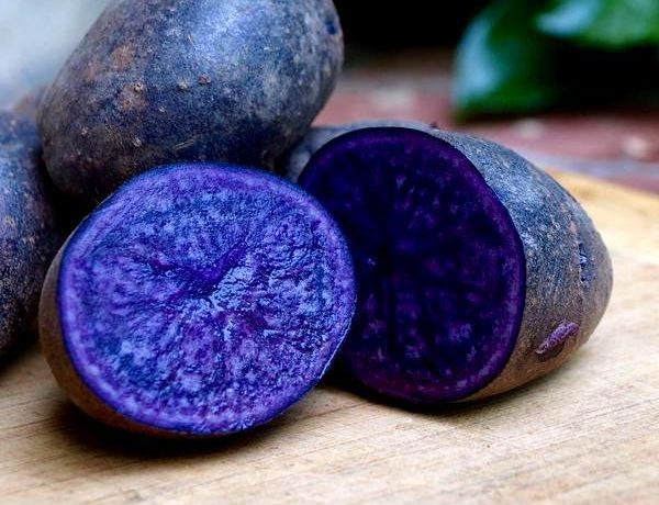 Картофель фиолетового цвета в разрезе