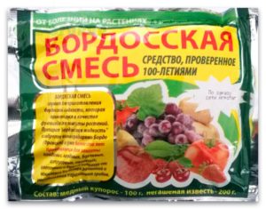Бордосская смесь для помидор - жидкость для опрыскивания