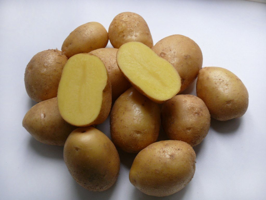 Прекрасный товарный вид картофеля