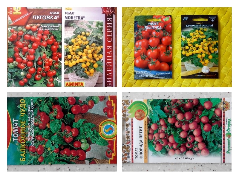 Лучшие сорта помидоров для выращивания дома