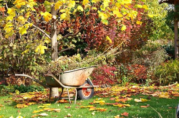 Осенью садоводам стоит прислушаться к лунному календарю