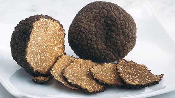 Трюфели - дорогие и редкие грибы
