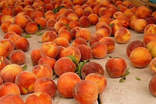 Созревание персика приходится на вторую половину июня