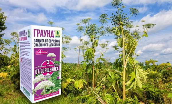 Граунд от сорняков: инструкция по применению, характеристики и ...