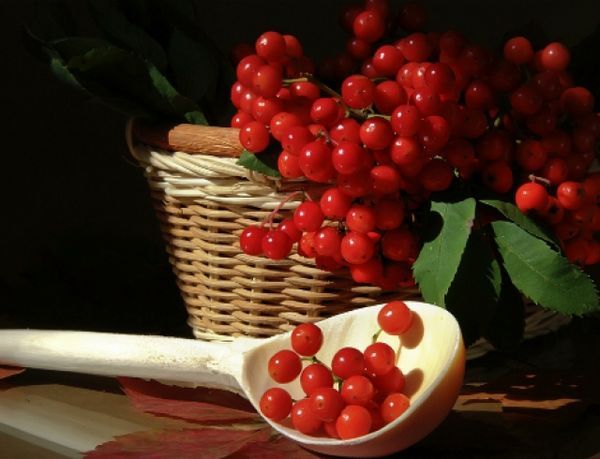 Рецепты из калины
