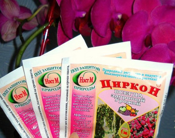 "Циркон" для растений: состав, назначение и преимущества стимулятора ...